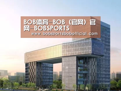 案例展示四