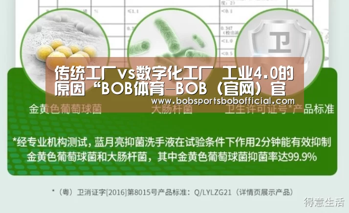BOB体育-BOB（官网）官方网站-BOBSPORTS下载